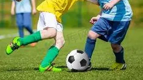 奇异果体育 资讯 130117 bnu