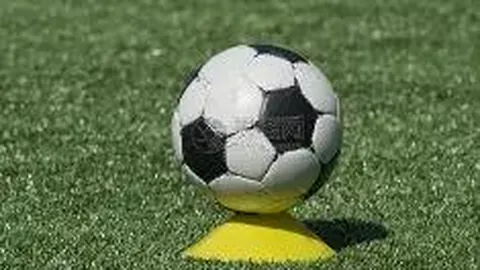 奇异果体育 资讯 132243 lm4