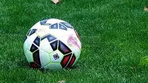 奇异果体育 资讯 104458 sz4