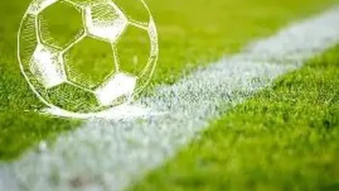 奇异果体育 产品 102132 pkk