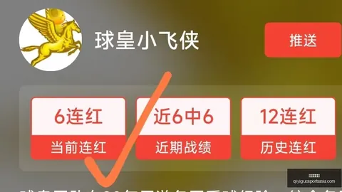 奇异果体育 073837 74